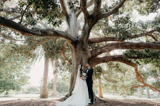 St Kilda Botanical Gardens Wedding